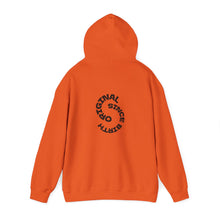 Load image into Gallery viewer, Aquarius Zodiac Symbol Hoodie | Original Since Birth (Back Print)